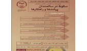 دومین نشست تخصصی سلامت سالمندی با موضوع "سقوط در سالمندان؛ پیامدها و راهکارها"