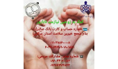 پویش کمک به زوج های نابارور نیازمند در استان مرکزی راه اندازی شد