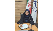 تکانه‌های ارزی، دشمن اصلی تاب‌آوری خودروسازان / سیاست‌های مالی دولت اثر تقویتی دارد