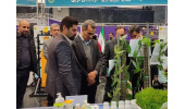 ظرفیت‌های علمی جهاددانشگاهی پشتوانه مهمی برای ارتقای کیفیت خدمات محیط‌زیستی استان است