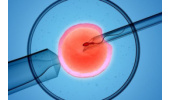 نقش داروهای کمکی در موفقیت IVF