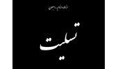 پیام تسلیت رییس جهاددانشگاهی برای استادی دلسوز