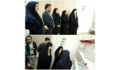 بازدید رییس سازمان تجاری سازی فناوری و اشتغال از مرکز رشد جهاددانشگاهی ایلام