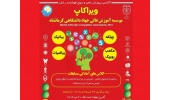مسابقه استانی ویرا کاپ۹۷