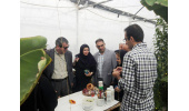 فعالیتهای درخشان جهاددانشگاهی قابل تحسین است