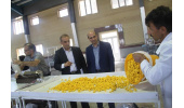 توانمندیهای کارآفرینی جهاد دانشگاهی آذربایجان غربی قابل الگوگیری و تحسین برانگیز است