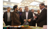 آخرین دستاوردهای مجموعههای پژوهشی جهادی فعال در حوزهی گیاهان دارویی/ گزارش خواندنی از غرفههای حاضر در نمایشگاه