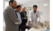 طرح‌های پژوهشکده معتمد جهاددانشگاهی آماده‌ی تجاری‌سازی است