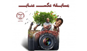 معرفی برگزیدگان مسابقه عکس عناب