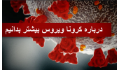 نکاتی دربارهی سلامت جنسی در ایام قرنطینهی کرونا