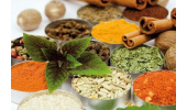 اجرای طرح جمع‌آوری «اتنوبوتانیکی» استان خراسان‌شمالی