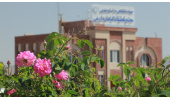 وقتی دانش و پژوهش چاشنی گل محمدی می‌شود