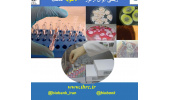 تعداد ذخایر میکربی مرکز ملی ذخایر ژنتیکی و زیستی ایران  از مرز ۵۰۰۰ سویه گذشت