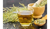 افسنطین و خواص این گیاه در رفع کم خونی و نابودی سلول‌های سرطانی
