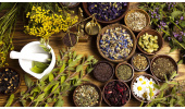 برگزاری وبینار «گیاهان دارویی موثر بر تقویت سیستم ایمنی و ضد التهاب» در خراسان جنوبی