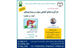 کنفرانس علمی یکروزه«فرآورده های گیاهی موثر بر بیماریهای کبد و صفرا » برگزار شد