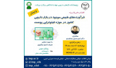 کنفرانس علمی «فرآورده های طبیعی موجود در بازار دارویی کشور در حوزه فیتوتراپی پوست» برگزار شد