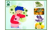 توصیه های گیاهی برای درمان علائم Covid-۱۹ بر مبنای طب ایرانی