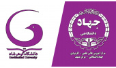 برگزاری کارگاه تخصصی سنجش افکار عمومی ویژه کارکنان و اساتید دانشگاه گوهرشاد افغانستان