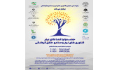 شکوفایی ایده های برتر فناوری های نرم، در یک جشنواره تابستانه