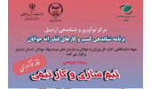رویداد دورهمی «تیم سازی و کار تیمی» برگزار شد
