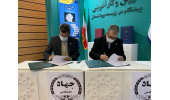 امضای تفاهمنامه همکاری معاونت آموزش و کارآفرینی جهاددانشگاهی و موسسه کار و تامین اجتماعی
