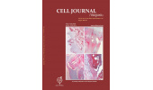افزایش ضریب تاثیر نشریه علمی Journal Cell وابسته به پژوهشگاه رویان جهاددانشگاهی