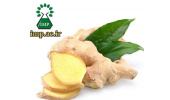 زنجبیل؛ رویکردی مکمل برای مدیریت بیماری های قلبی عروقی