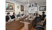 تدوین طرح جامع احیای اسب اصیل ترکمن توسط جهاددانشگاهی