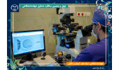 پژوهشگاه ابنسینا جهاددانشگاهی بر مدار پیشرفت در حوزه درمان ناباروری و ترویج سیاستهای جمعیتی