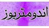 دستاورد پژوهشگاه ابن‌سینا جهاددانشگاهی؛ مکمل آنتی‌اکسیدانی «ان-استیل‌سیستئین»؛ امید تازه برای کاهش درد آندومتریوز
