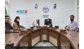 توصیف اندیشکده گردشگری جهاددانشگاهی اصفهان به عنوان یک اندیشکده حرفه‌ای
