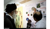 پاسخ امام شهید به اولین دستاورد سلول‌های بنیادی: این تازه آغاز راه است